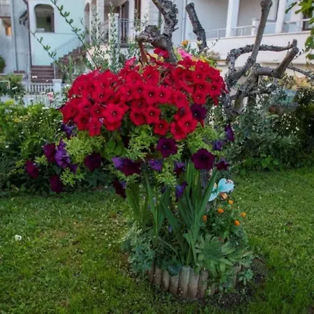 Apartman Mateo Appartamento *